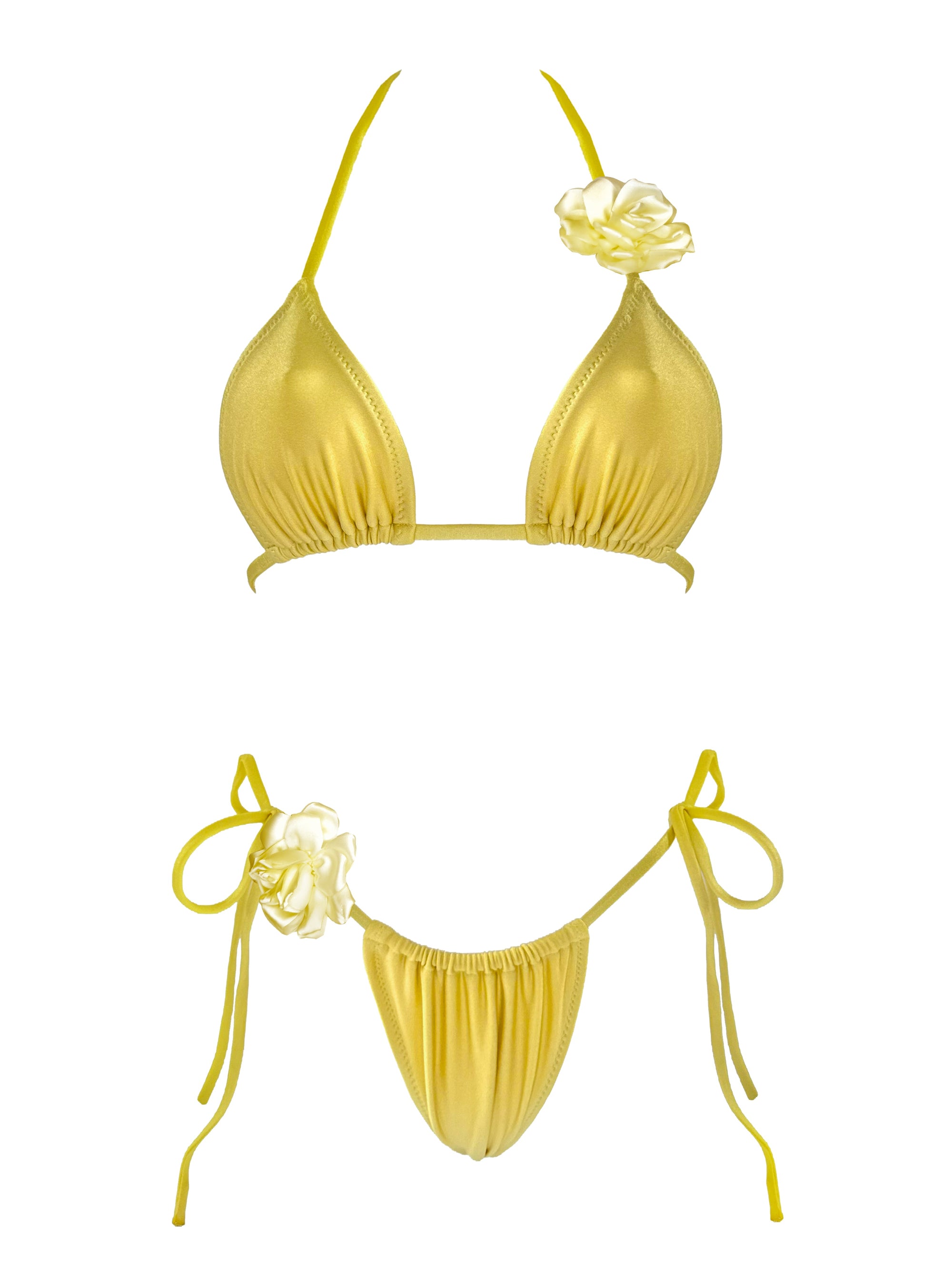 Mimosa bikini
